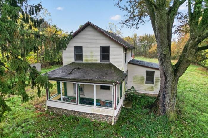 18607 Forrister Rd, Hudson, MI, photo 11