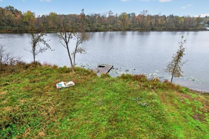 18607 Forrister Rd, Hudson, MI, photo 9