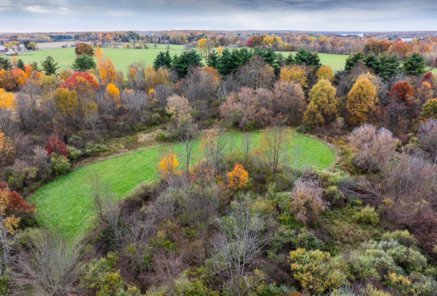 Open field and woods from above