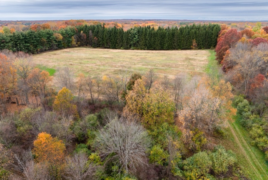 Back field from above